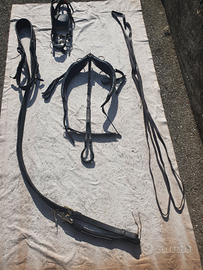 Finimento singolo a pettorale