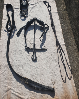 Finimento singolo a pettorale