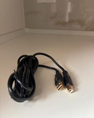Cavo USB A-maschio B-maschio stampante fotocamera