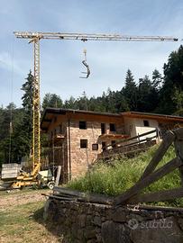 Gru da cantiere