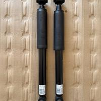 9824997280 Coppia 2 Ammortizzatori Posteriore E Ri