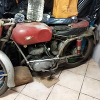 MV Agusta anni 50 da restauro 