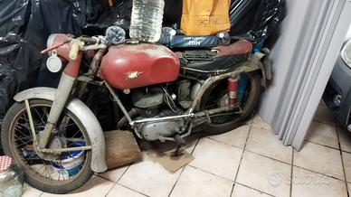 MV Agusta anni 50 da restauro 