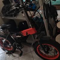 Bicicletta elettrica / pedalata assistita