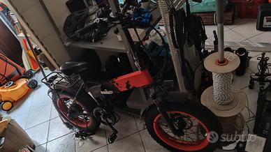 Bicicletta elettrica / pedalata assistita