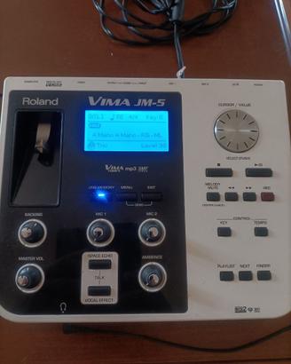 Roland vima JM5