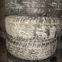 cerchi e gomme galloper