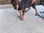 Immagine 4