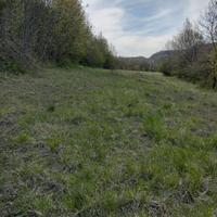 Terreno e bosco in Variana