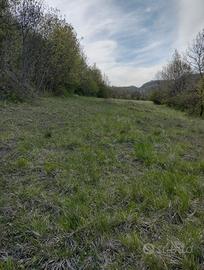 Terreno e bosco in Variana