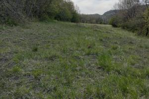 Terreno e bosco in Variana