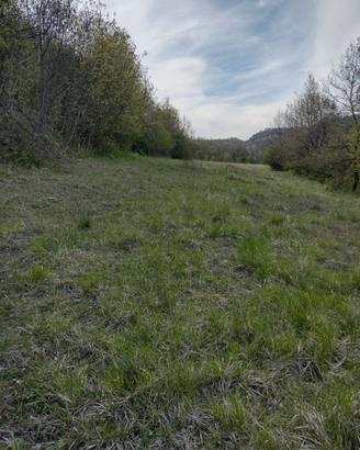 Terreno e bosco in Variana