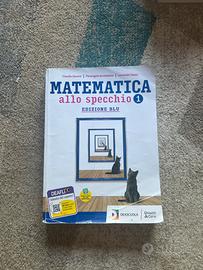 Libro sc. superiori - “Matematica allo specchio 1”