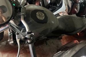 HONDA HORNET 600