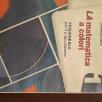 La matematica a colori Blu 1 9788849419344
