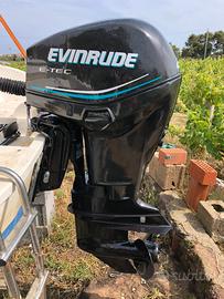 Evinrude e-tec 40cv