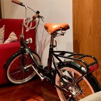 Bicicletta pieghevole