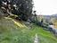 Immagine 26