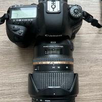 Canon 5DIV + Tamron 24-70mm f/2.8 + Canon 50mm 1.8