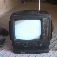 Mini televisore portatile SWJ con radio AM/FM