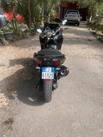 Tmax 530