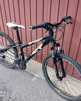 Mountain bike 24