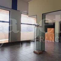 Ufficio Nettuno [Cod. comm. tinozziACU] (San Giaco