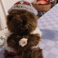 pelushe marmotta con cappello e gilet 