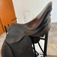 Sella e sottopancia cavallo