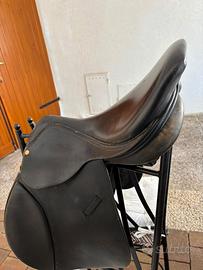 Sella e sottopancia cavallo
