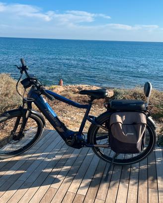 Bici da trekking