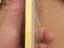 Immagine 6