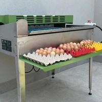 selezionatrice riva selegg