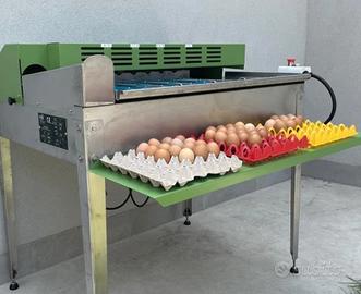 selezionatrice riva selegg