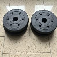 Pesi Palestra - dischi 5kg