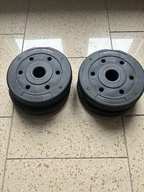 Pesi Palestra - dischi 5kg