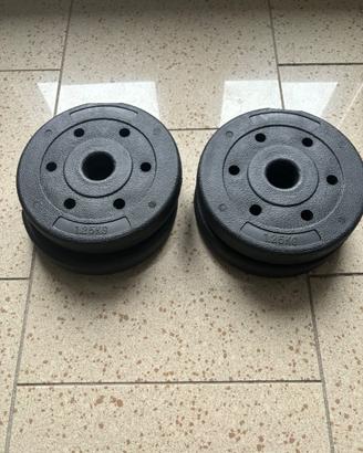 Pesi Palestra - dischi 5kg