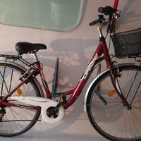 bicicletta da donna
