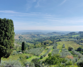 Uliveto