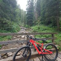 Specialized Turbo Levo SL Comp