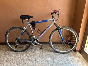 Mountain bike da uomo
