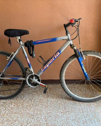 Mountain bike da uomo