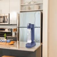 GASATORE ACQUA COMPRESA BOMBOLA DA 450 GRAMMI CO2