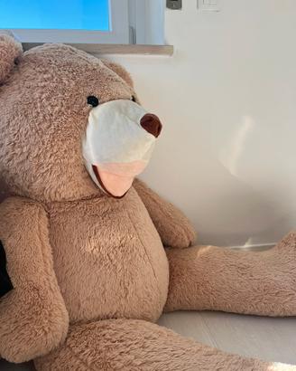 orso peluche xxl