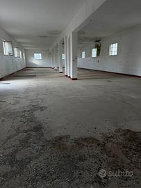 V/1339 Ampia struttura commerciale