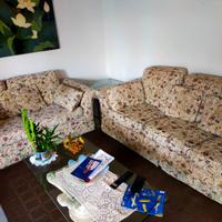 Coppia di divani sfoderabili