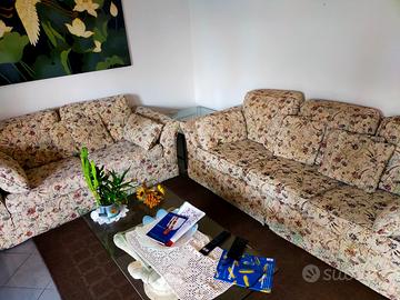 Coppia di divani sfoderabili
