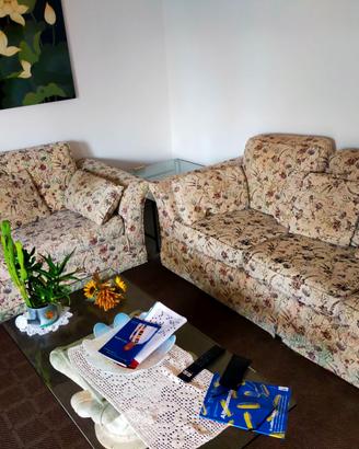 Coppia di divani sfoderabili