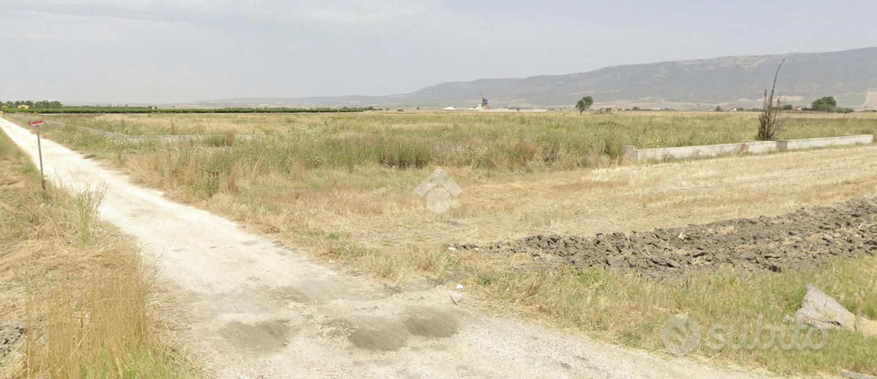 TER. AGRICOLO A SAN SEVERO - Altro
