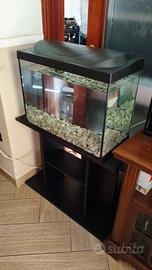 Acquario 